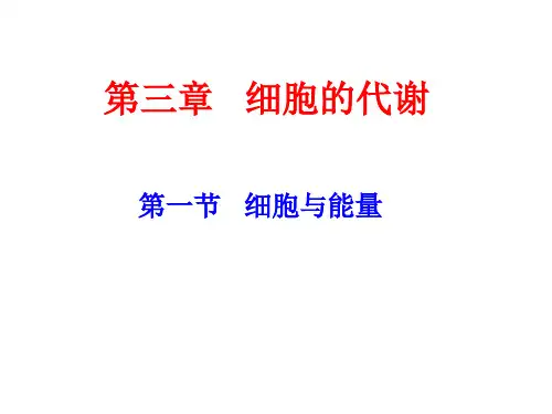 细胞与能量(浙科版)PPT教学课件