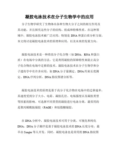 凝胶电泳技术在分子生物学中的应用