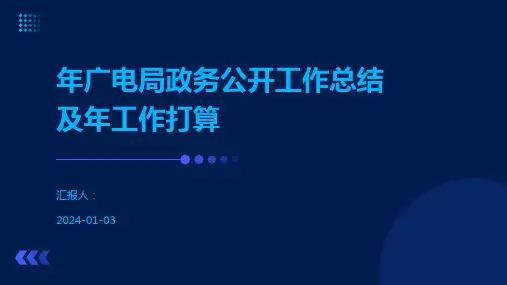 年广电局政务公开工作总结及年工作打算