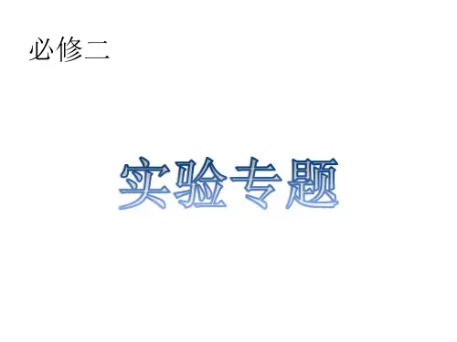 物理必修二实验专题