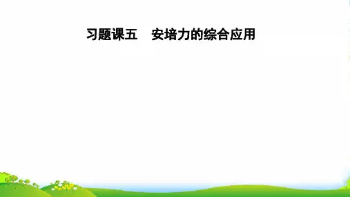 版课堂讲义同步系列高中物理教科版选修31课件：第三章 磁场 习题课五