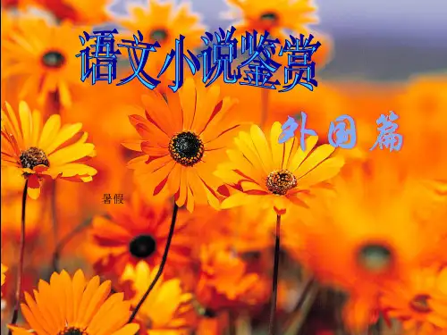 外国经典短篇小说鉴赏