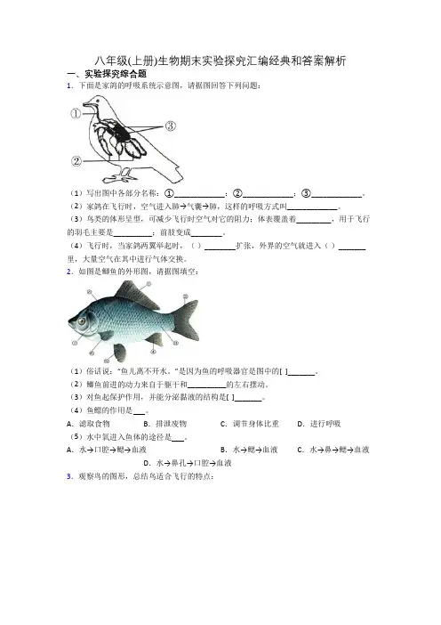 八年级(上册)生物期末实验探究汇编经典和答案解析[010]
