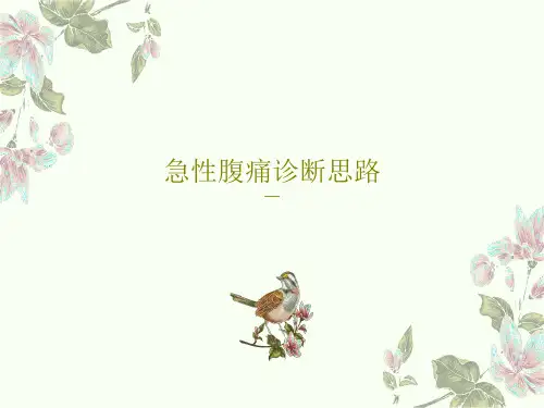 急性腹痛诊断思路114页PPT