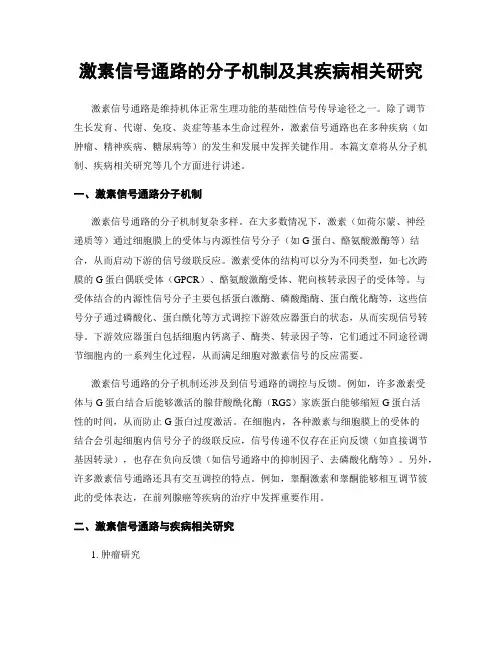 激素信号通路的分子机制及其疾病相关研究