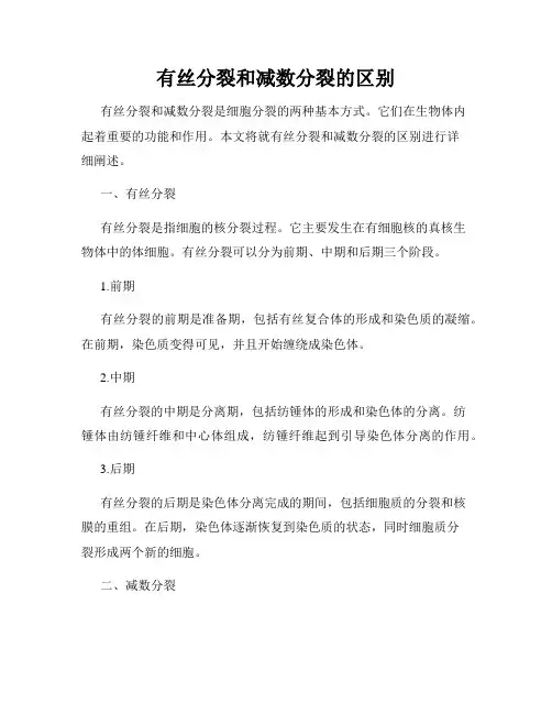 有丝分裂和减数分裂的区别