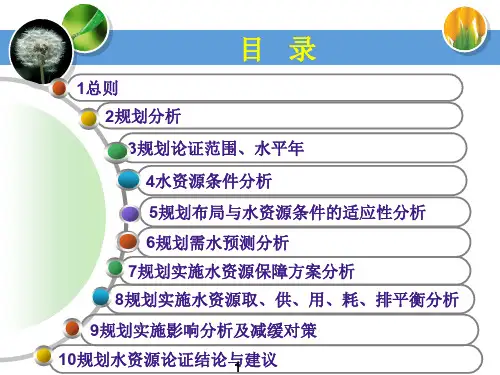 规划水资源论证PPT课件