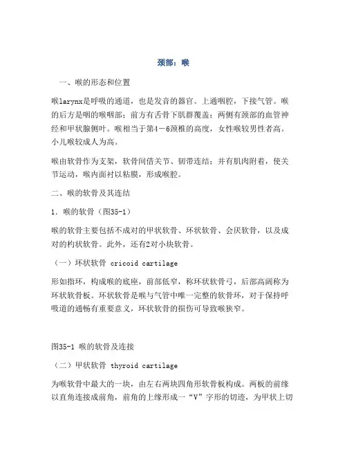 医学知识之颈部：喉