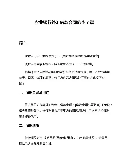 农业银行外汇借款合同范本7篇