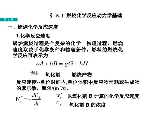 第5章 锅炉燃烧原理及燃烧系统