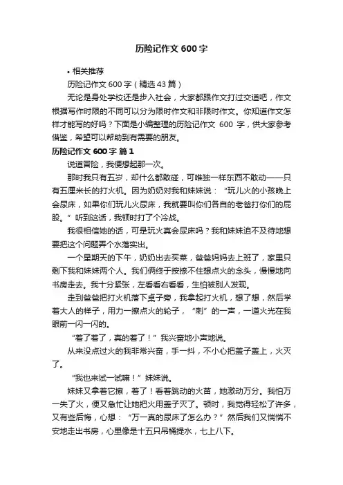历险记作文600字