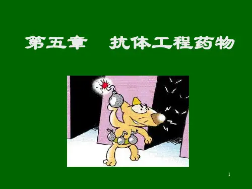 抗体药物ppt课件