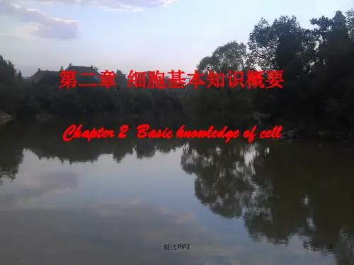 细胞生物学-细胞基本知识