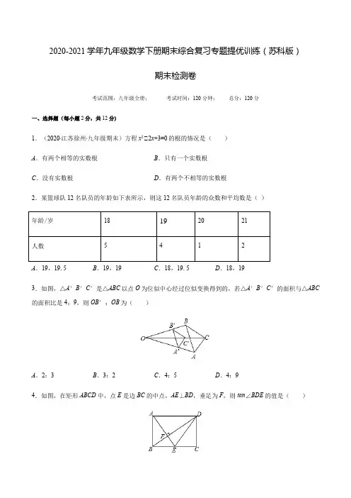 期末检测卷 -2020-2021学年九年级数学下册期末综合复习专题提优训练(苏科版)