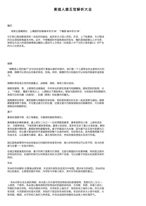 素描人像五官解析大全