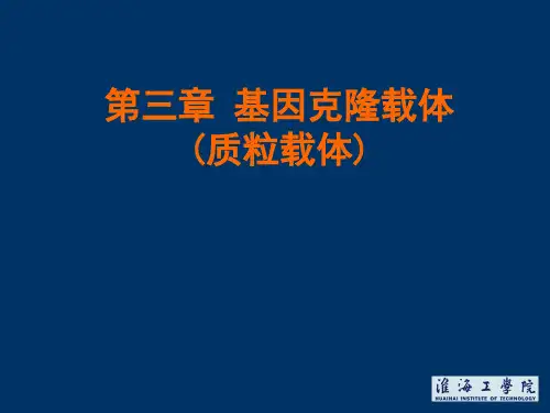 基因工程第3章 基因克隆载体(1质粒载体)