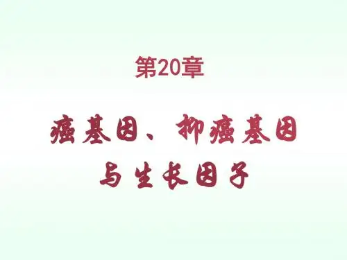 第20章癌基因抑癌基因与生长因子