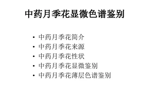 中药月季花显微色谱鉴别