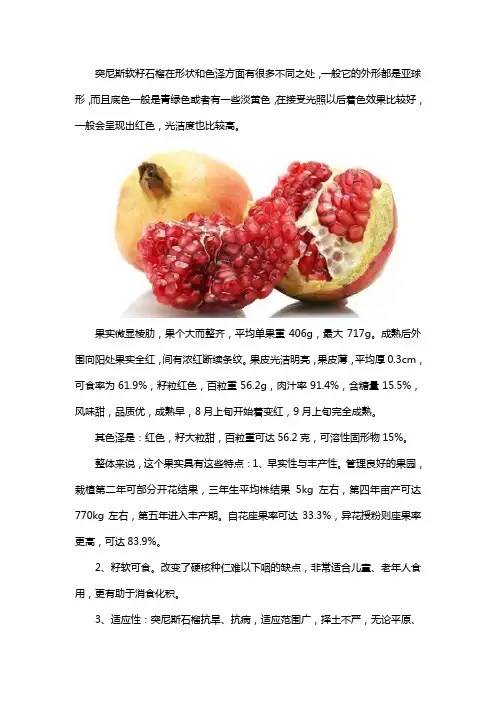 突尼斯软籽石榴在形状和色泽方面有什么特点