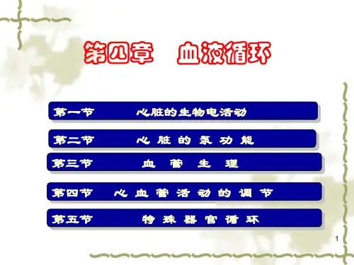 生理学血液循环大全
