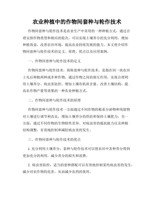 农业种植中的作物间套种与轮作技术