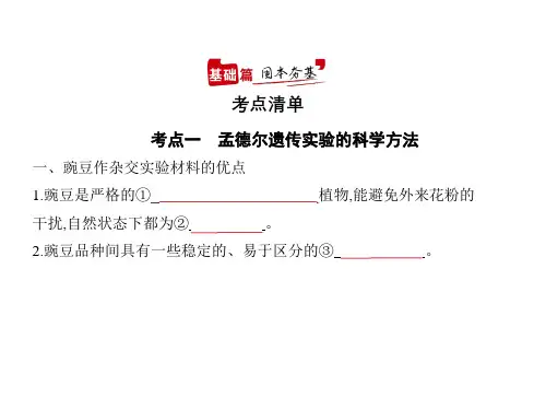 2021年新课标新高考生物复习课件：专题10 基因的分离定律