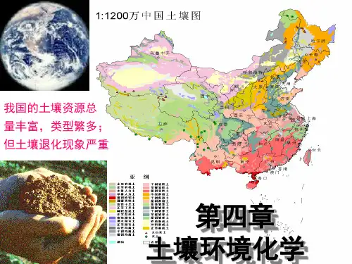 环境化学教学课件第四章土壤环境化学