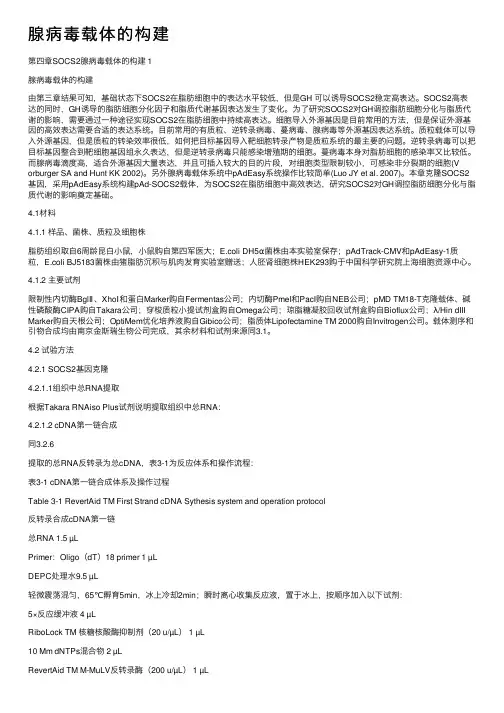 腺病毒载体的构建