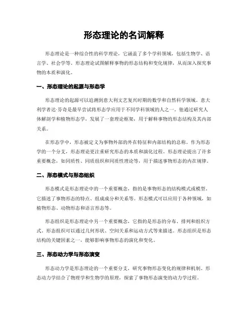 形态理论的名词解释