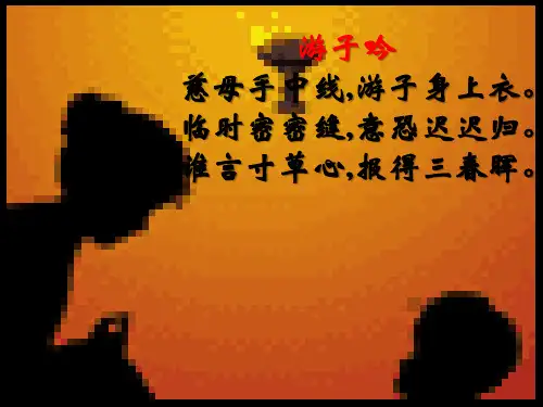 9阿长与山海经  PPT课件