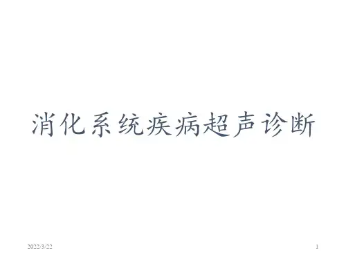 消化系统超声ppt课件
