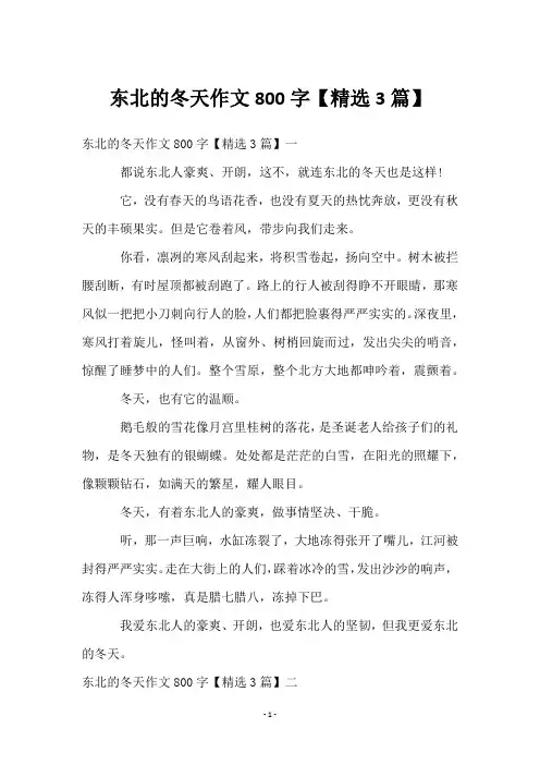 东北的冬天作文800字【3篇】