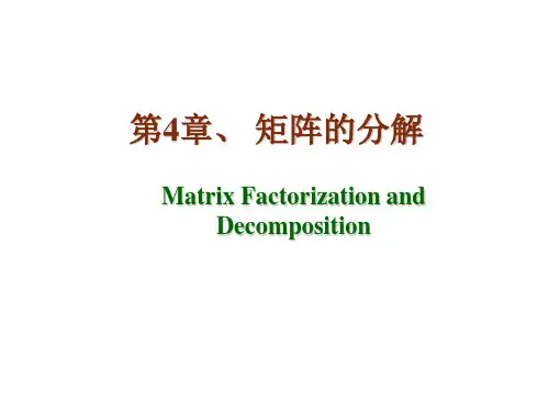 第4章_矩阵的分解 2 矩阵分析简明教程 曾祥金 张亮