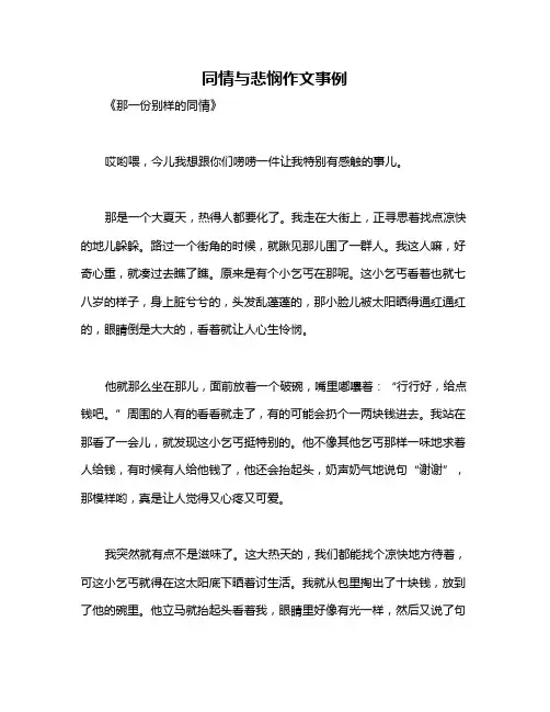 同情与悲悯作文事例