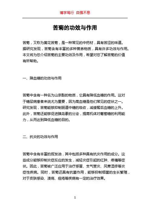 苦菊的功效与作用