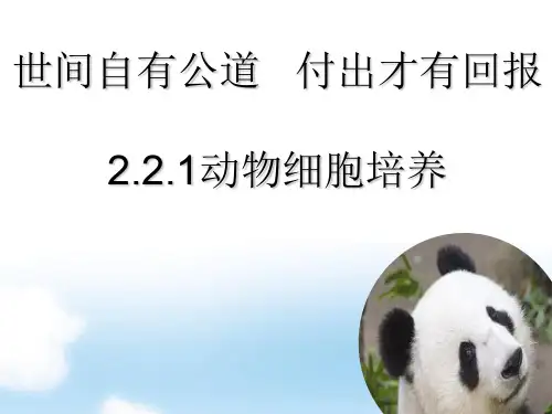 ..动物细胞培养技术