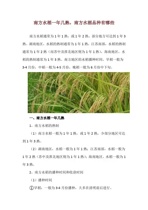 南方水稻一年几熟,南方水稻品种有哪些