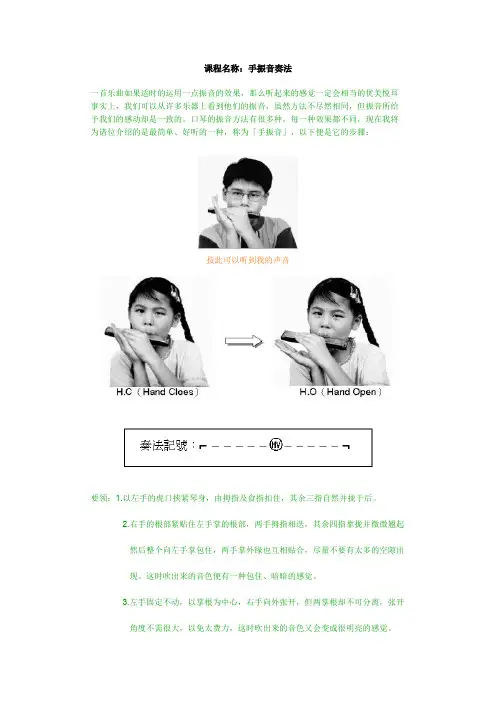 手振音奏法-24孔复音口琴
