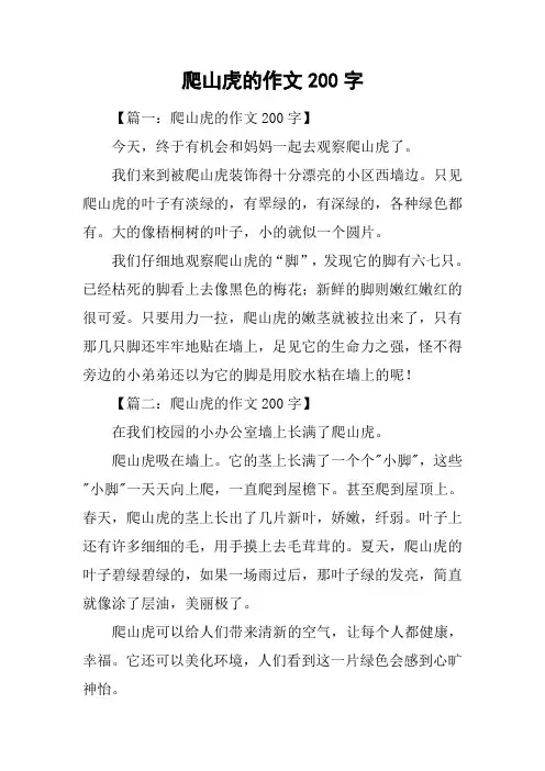 爬山虎的作文200字