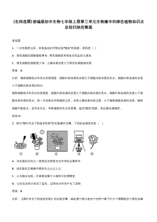 部编版初中生物七年级上册第三单元生物圈中的绿色植物知识点总结归纳完整版