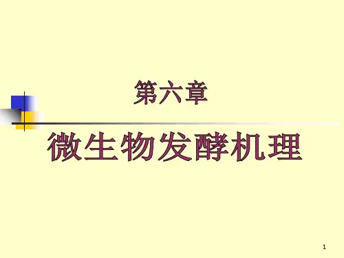 6微生物发酵机理-精选文档73页