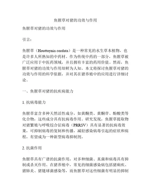 鱼腥草对猪的功效与作用