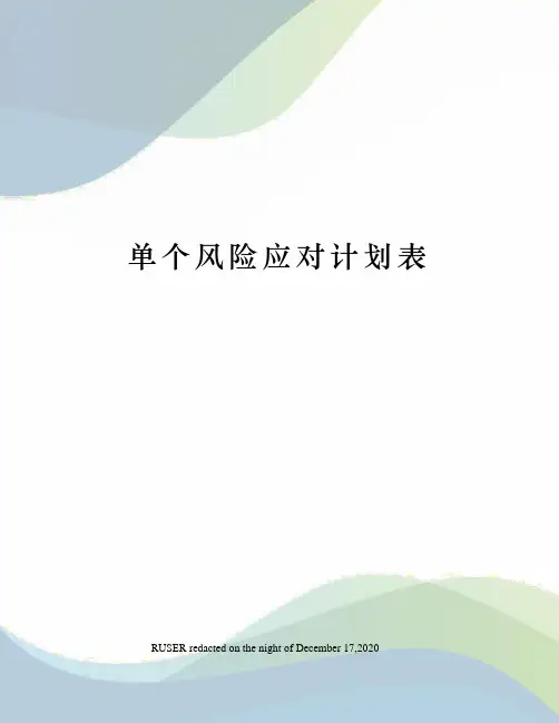 单个风险应对计划表