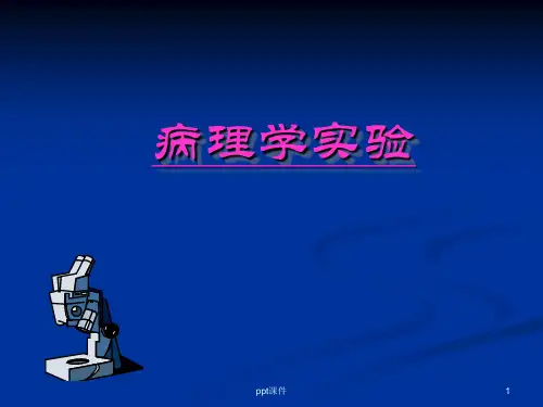 病理学实验  ppt课件