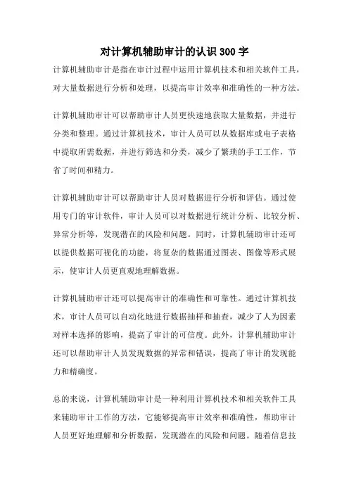对计算机辅助审计的认识300字