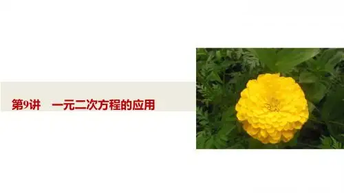 中考数学总复习9一元二次方程的应用 (共28张PPT)