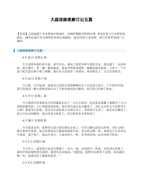 大蒜连续观察日记五篇
