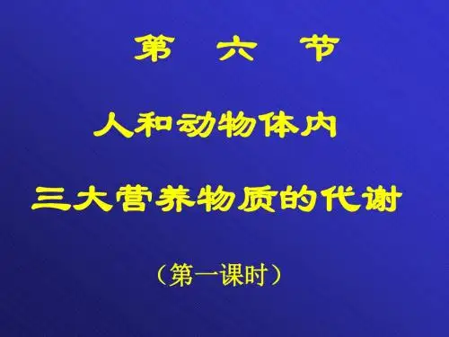 高中生物人和动物体内三大营养物质的代谢PPT6 人教版