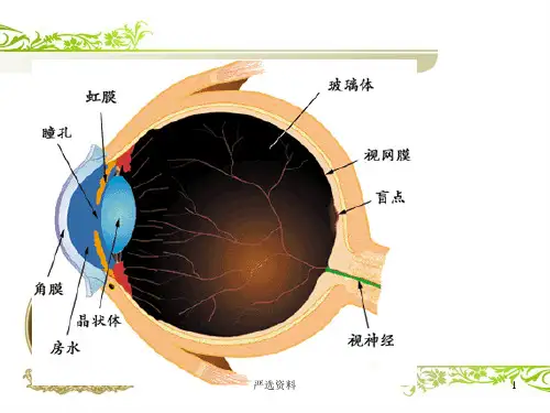 白内障培训ppt课件行业荟萃.ppt