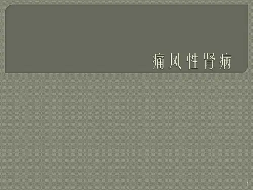 痛风性肾病ppt课件